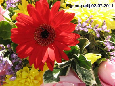 Foto's Rypmapartij 2011